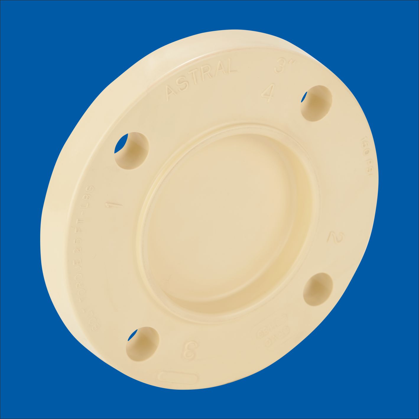 Blind Flange SCH-80 Fittings