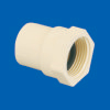 Female Adapter - SCH-80 Fittings